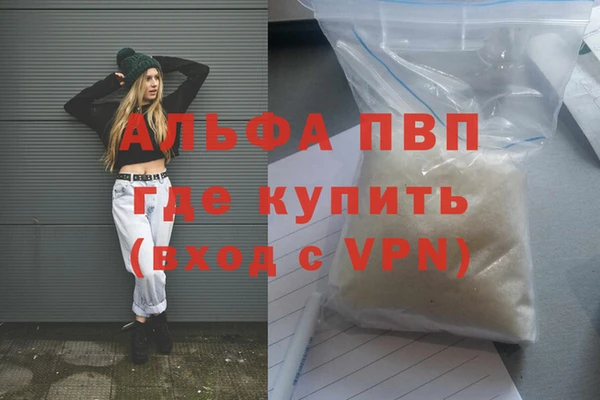 стафф Алексин