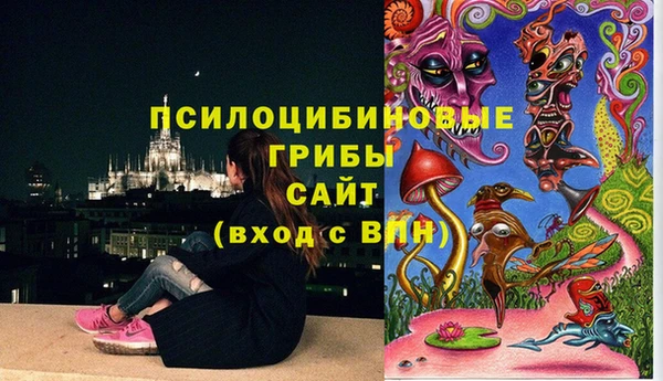 прущие крисы Алексеевка