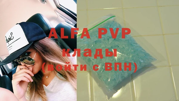 стафф Алексин