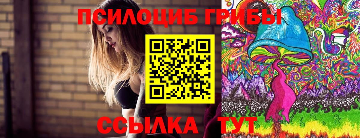 Псилоцибиновые грибы Cubensis Аргун