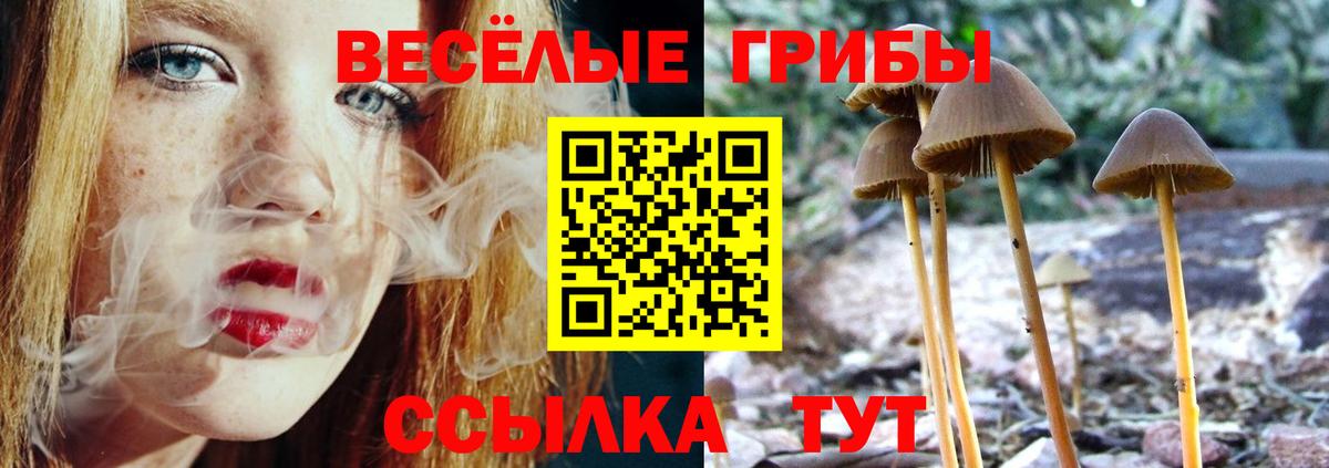 Амфетамин Аргун