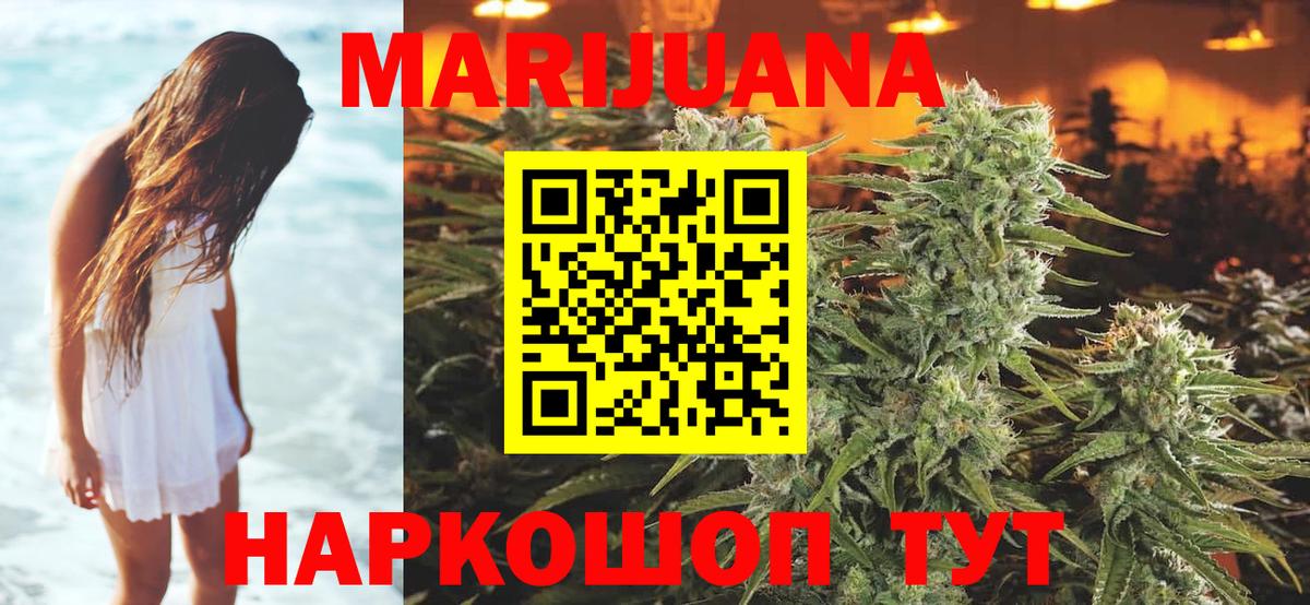 Каннабис планчик  Аргун  Канабис Ganja  Бошки марихуана OG Kush 